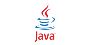 java new